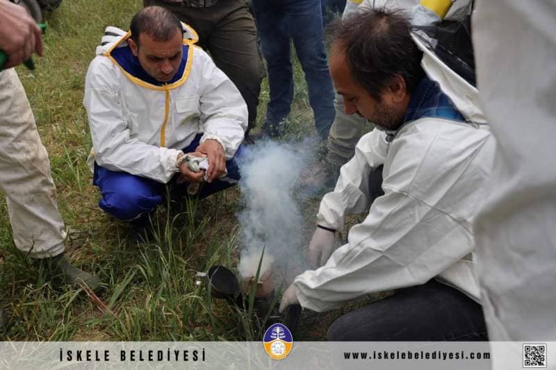 Galeri fotoğrafı 8