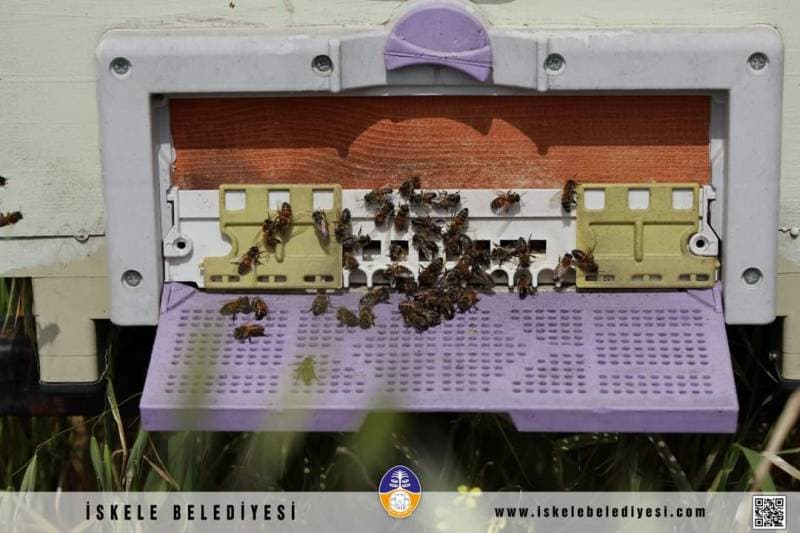 Galeri fotoğrafı 13