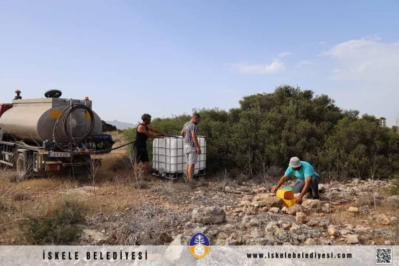 Galeri fotoğrafı 3