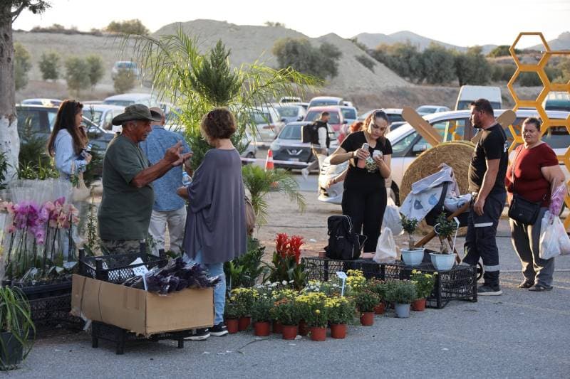 Gallery photo 19