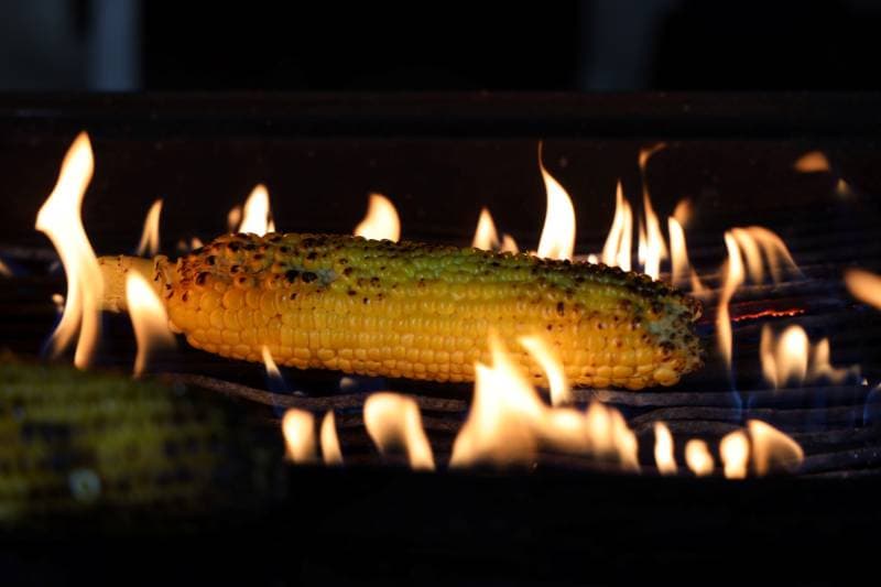 Gallery photo 32