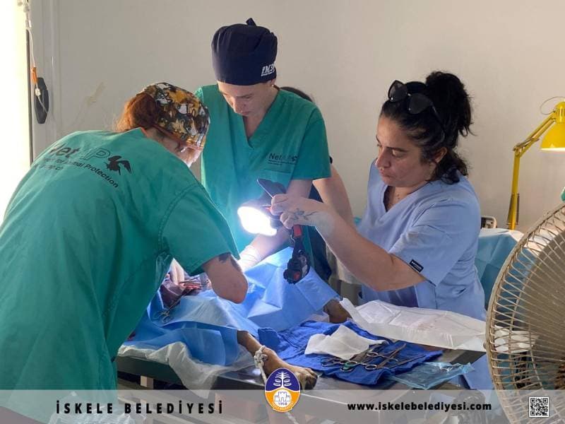 Galeri fotoğrafı 4