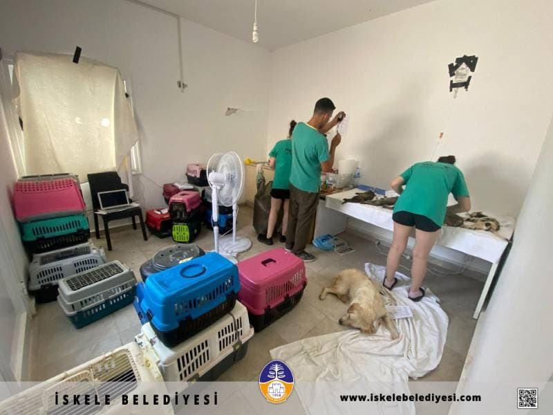 Galeri fotoğrafı 5
