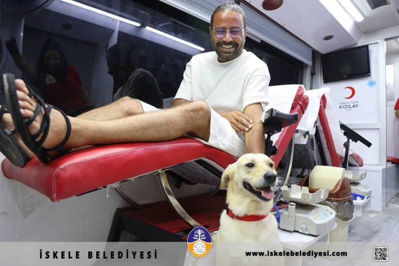 Galeri fotoğrafı 16