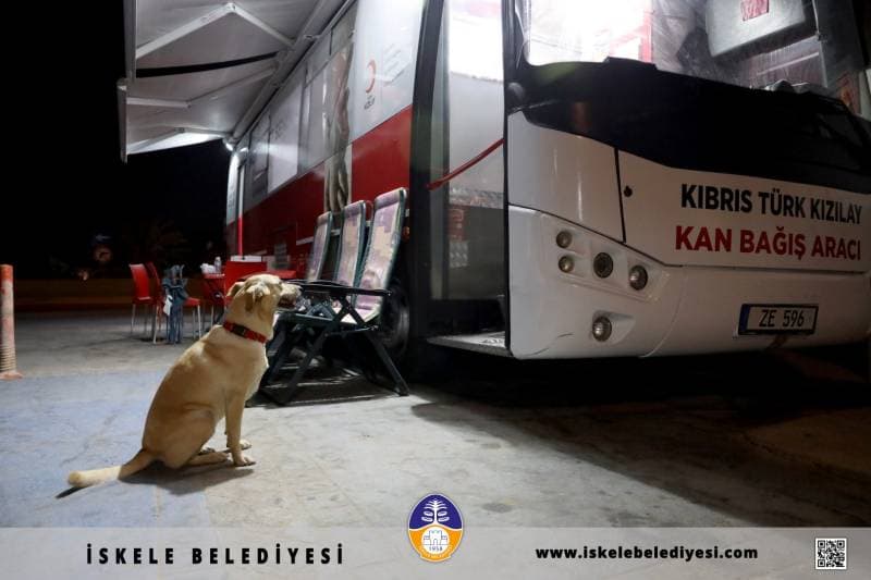 Galeri fotoğrafı 2
