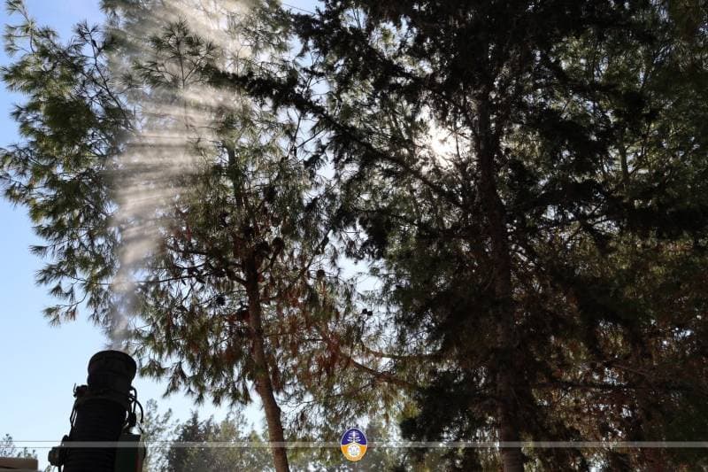 Galeri fotoğrafı 2