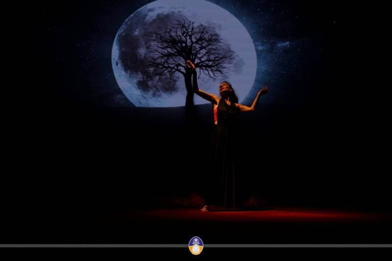 Galeri fotoğrafı 2