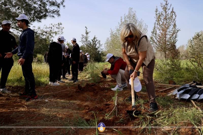 Galeri fotoğrafı 7