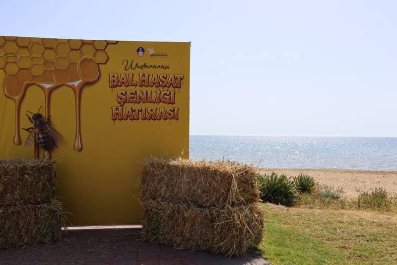 Galeri fotoğrafı 2