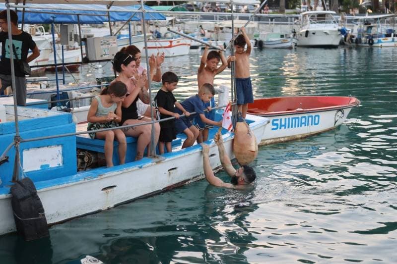 Galeri fotoğrafı 1