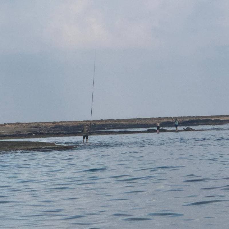 Galeri fotoğrafı 1