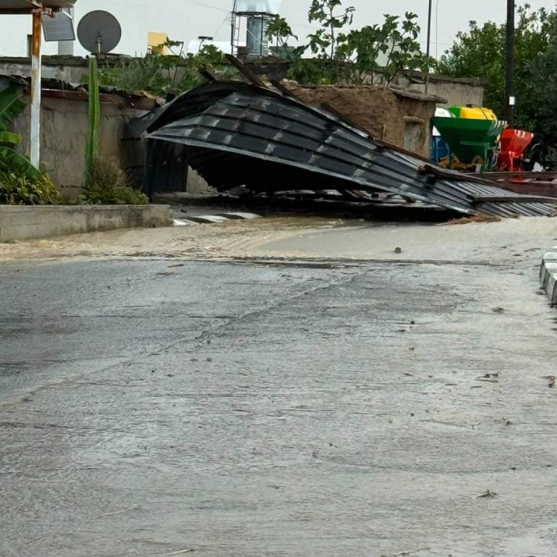 Galeri fotoğrafı 1