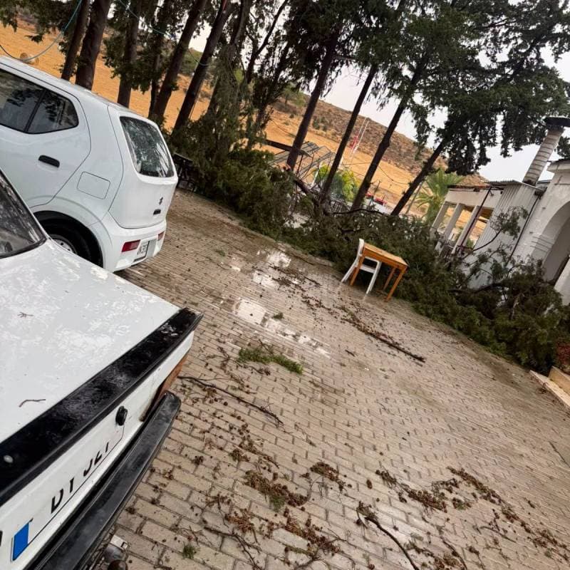 Galeri fotoğrafı 7