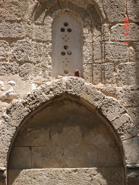 Galeri fotoğrafı 1