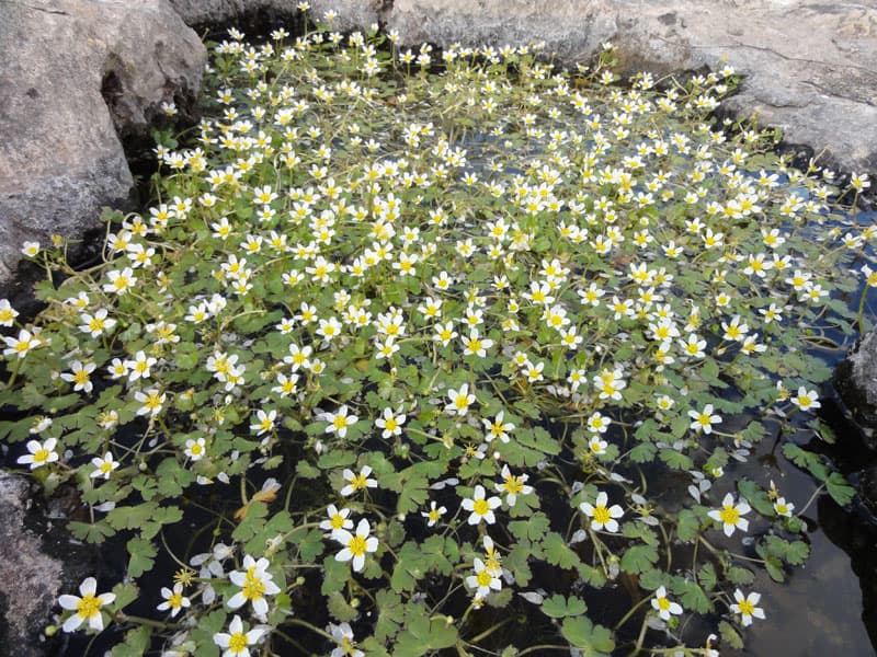 Galeri fotoğrafı 1