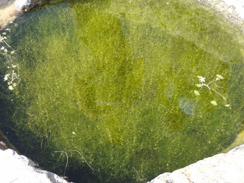Galeri fotoğrafı 3