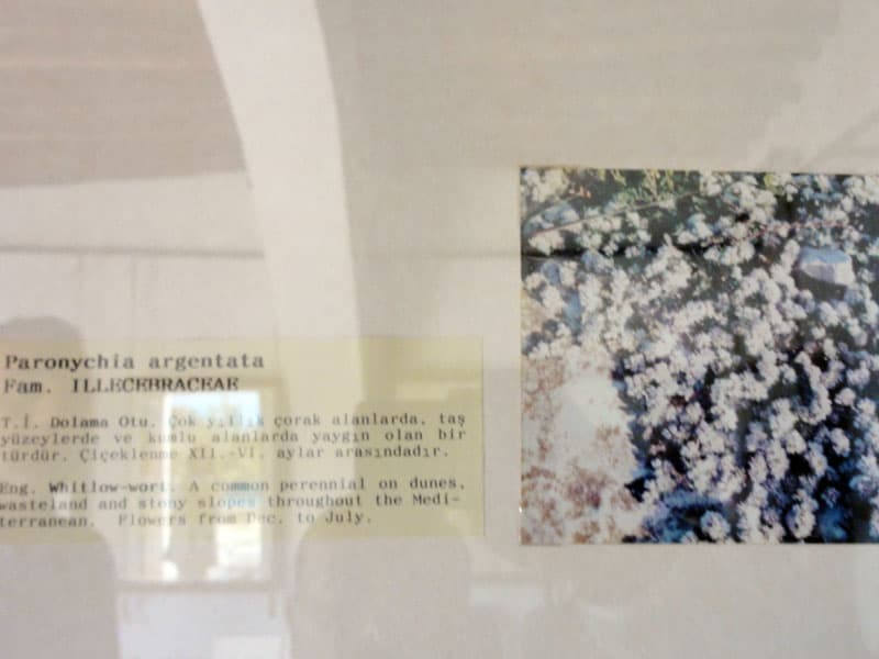 Galeri fotoğrafı 14
