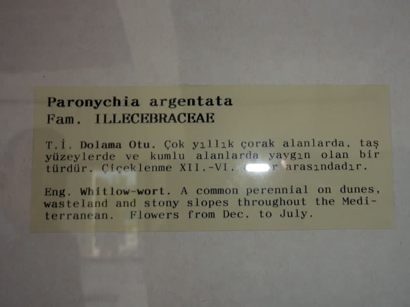 Galeri fotoğrafı 15