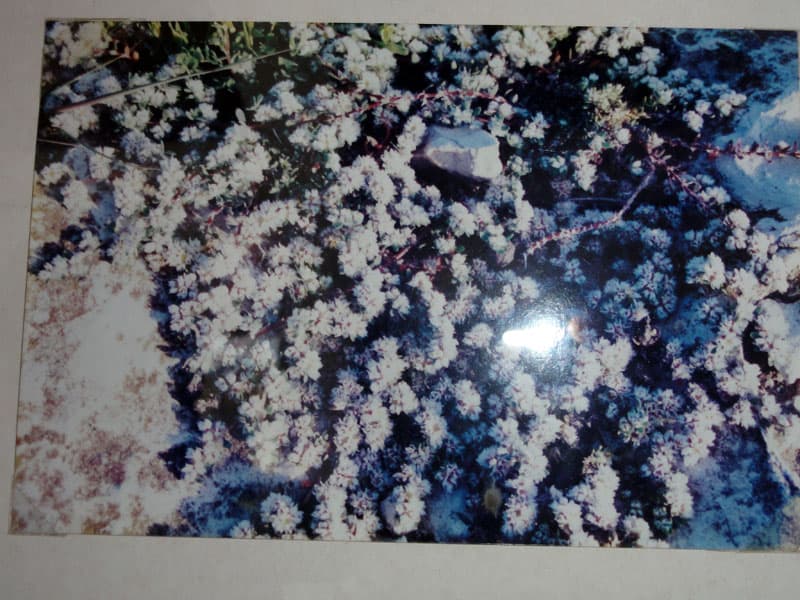 Galeri fotoğrafı 16