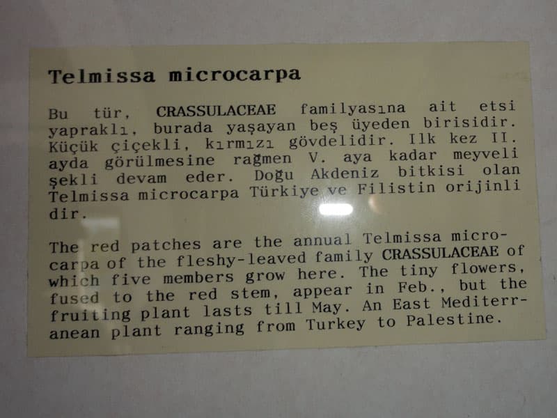 Galeri fotoğrafı 17