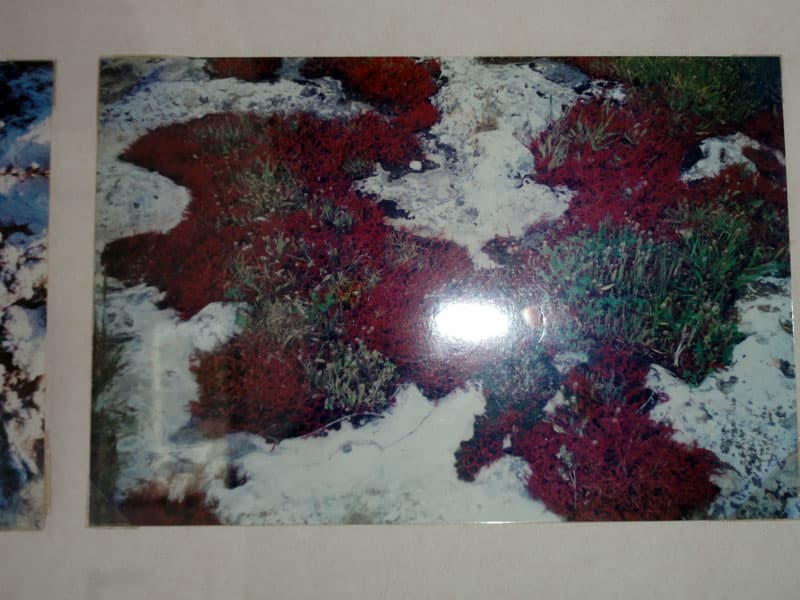 Galeri fotoğrafı 18