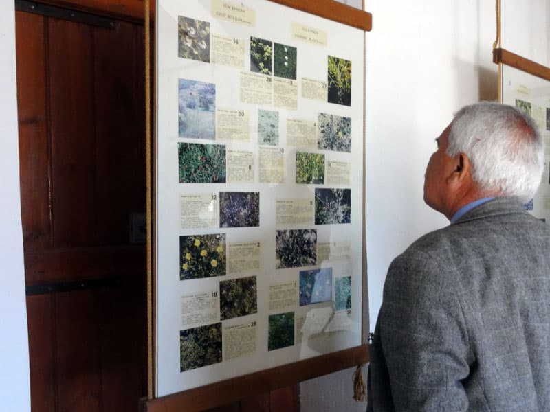 Galeri fotoğrafı 19