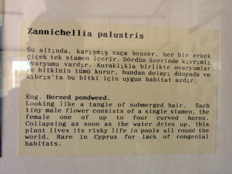 Galeri fotoğrafı 22