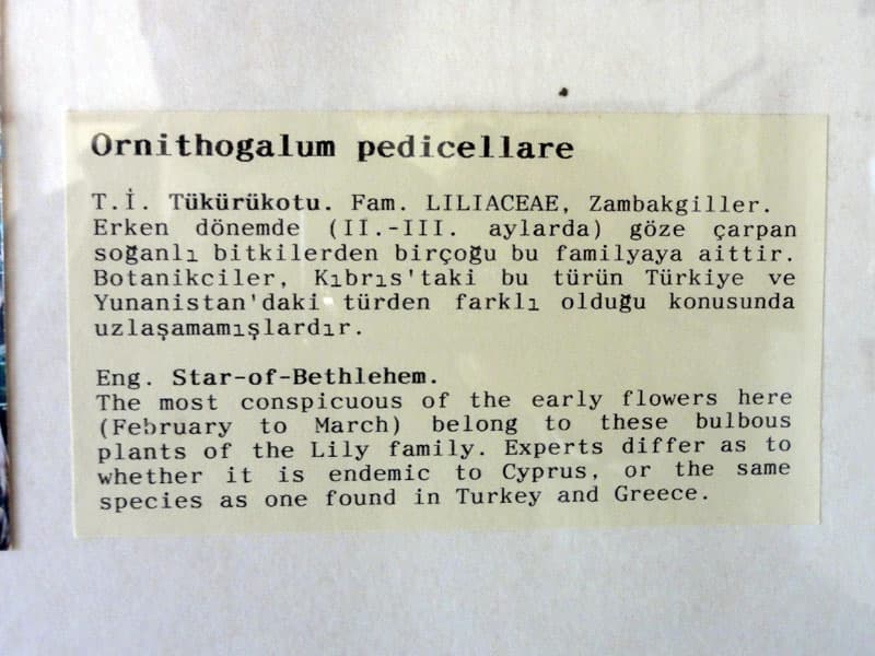 Galeri fotoğrafı 24