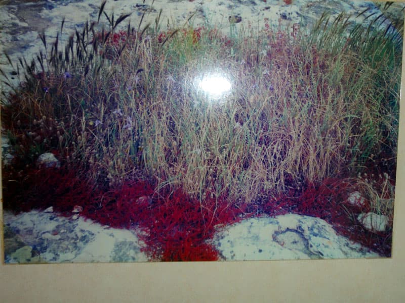 Galeri fotoğrafı 25