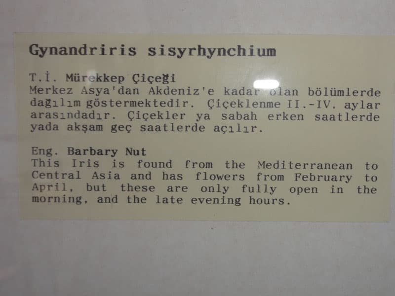 Galeri fotoğrafı 26