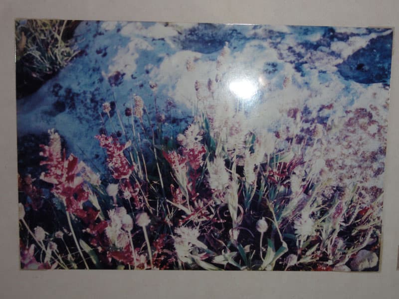 Galeri fotoğrafı 27
