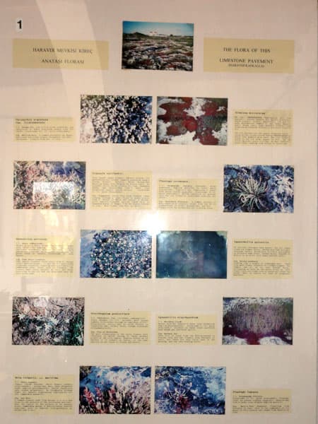 Galeri fotoğrafı 28