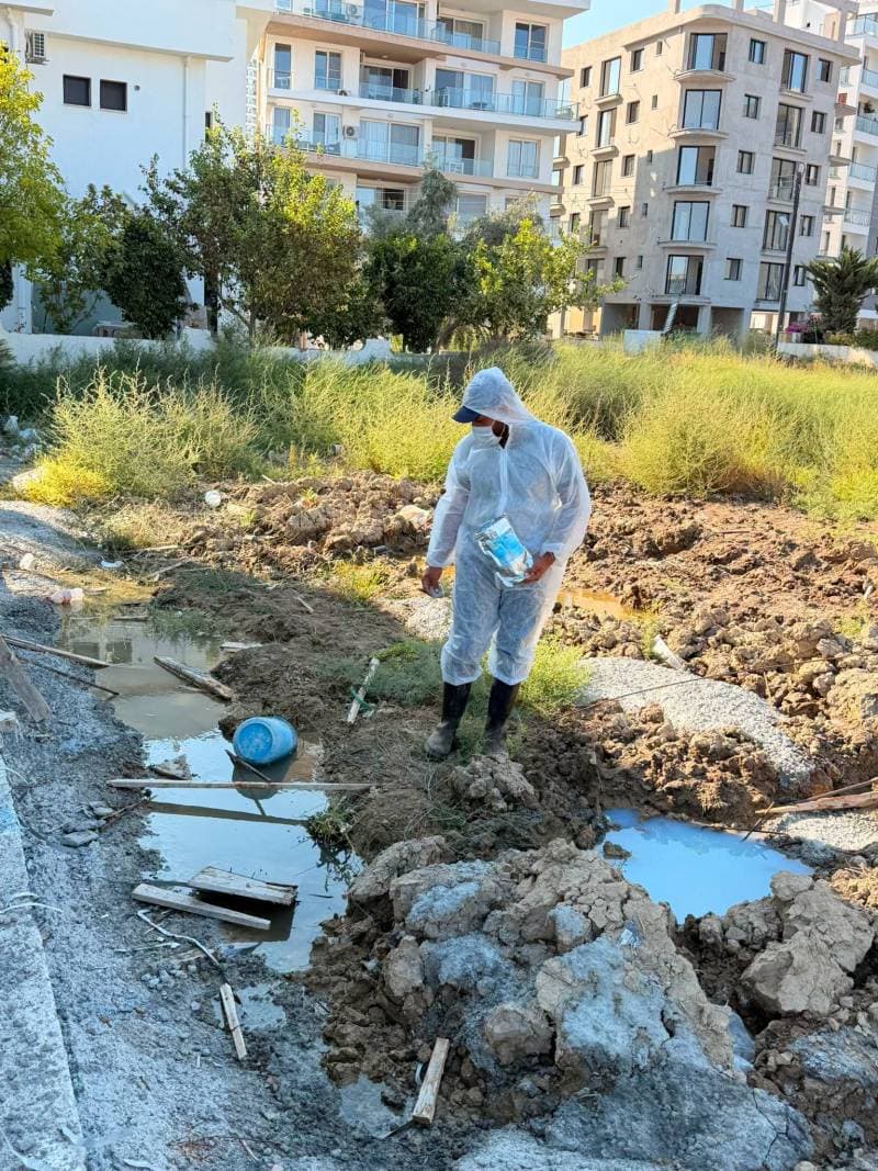 Galeri fotoğrafı 2