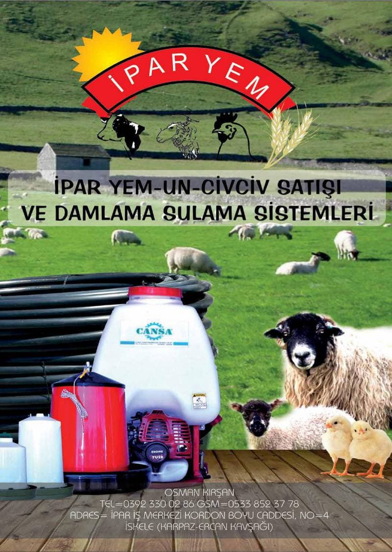 Galeri fotoğrafı 23