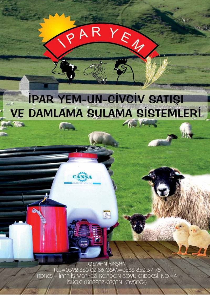 Galeri fotoğrafı 10