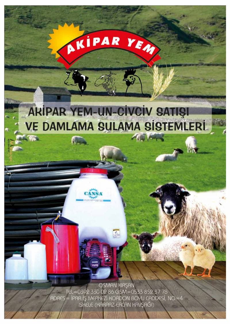 Galeri fotoğrafı 8