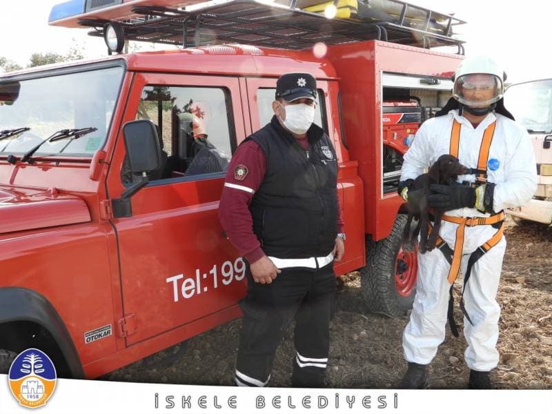 Galeri fotoğrafı 4