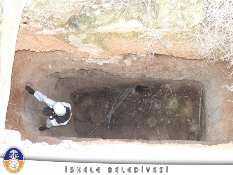 Galeri fotoğrafı 6