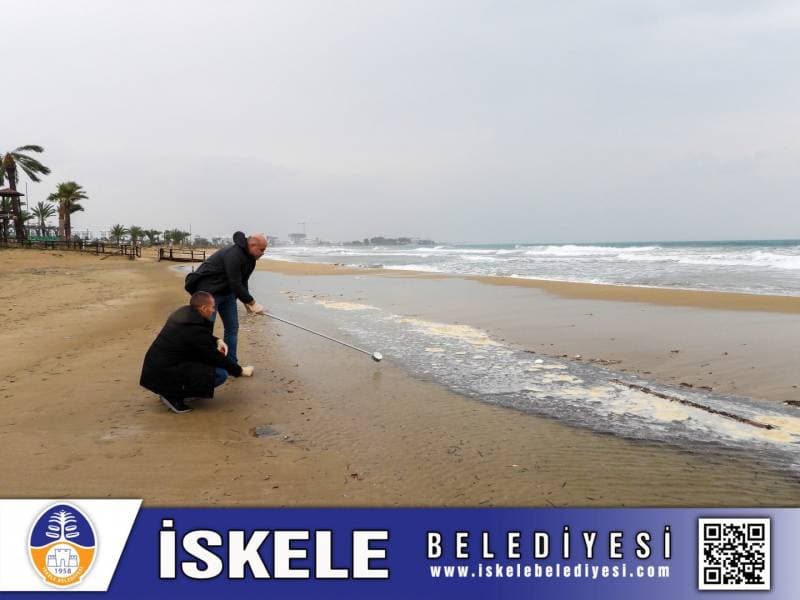 Galeri fotoğrafı 1