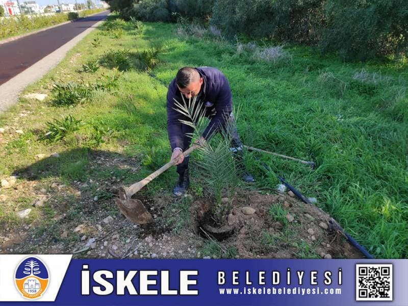 Galeri fotoğrafı 2