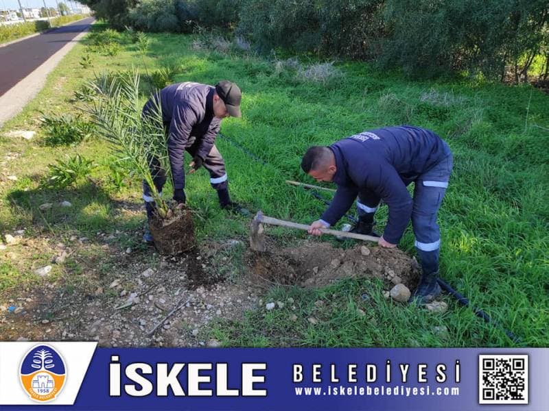 Galeri fotoğrafı 4