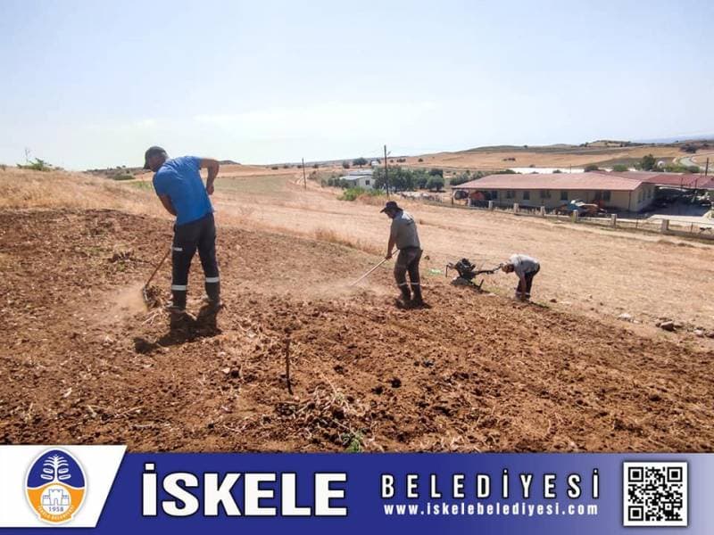 Galeri fotoğrafı 2