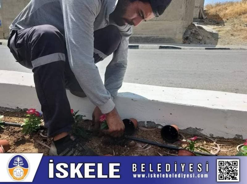 Galeri fotoğrafı 1