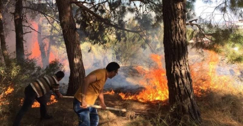Galeri fotoğrafı 2