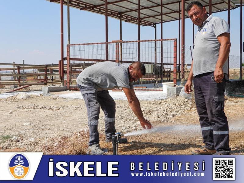 Galeri fotoğrafı 2