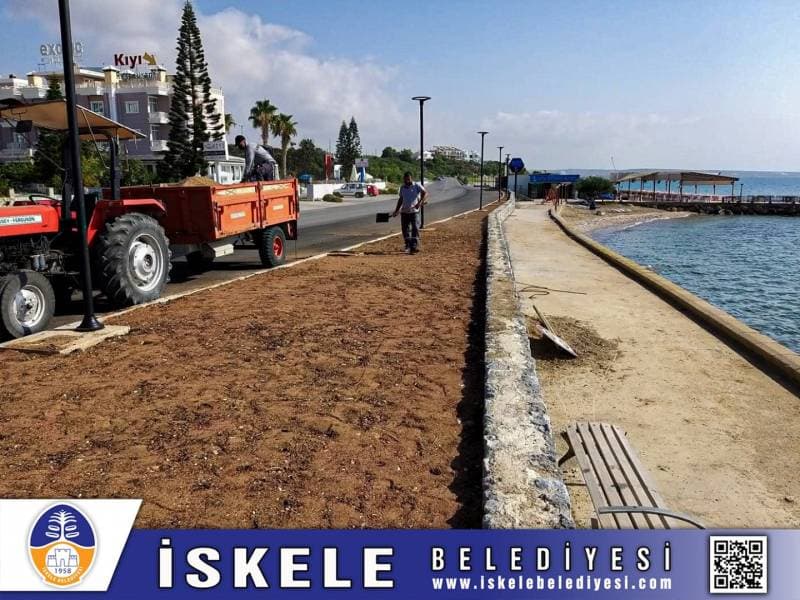 Galeri fotoğrafı 2