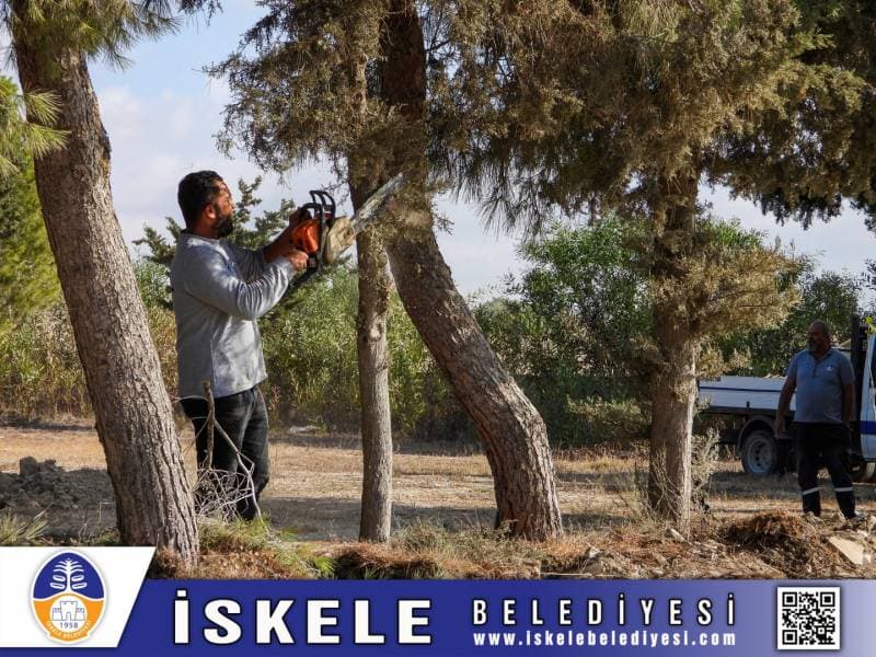 Galeri fotoğrafı 3
