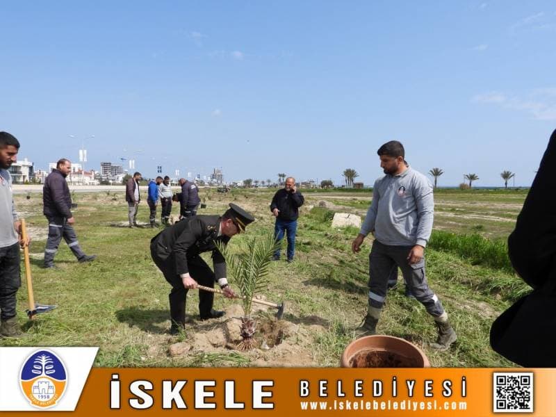 Gallery photo 10