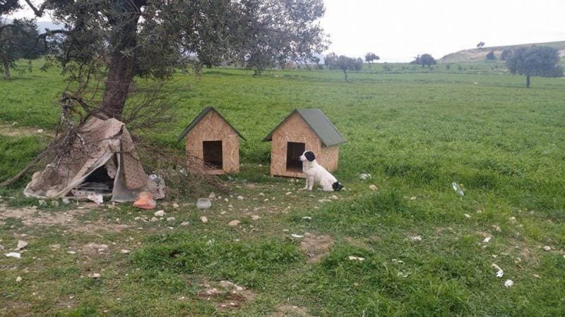 Galeri fotoğrafı 6