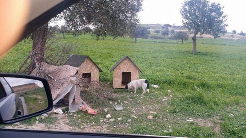 Galeri fotoğrafı 12